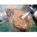 Wiertło do drewna 45mm MANPA Holes Cutter MP21-8-2